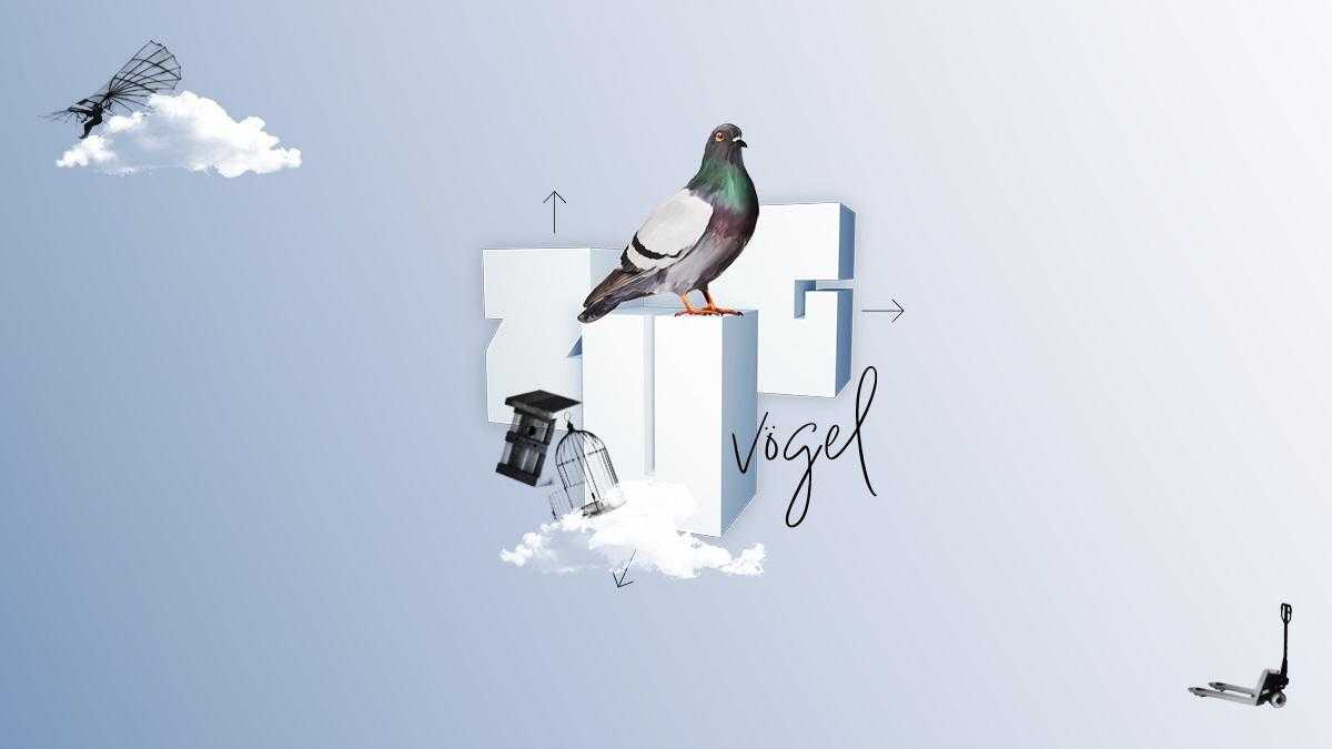 Migratory Birds