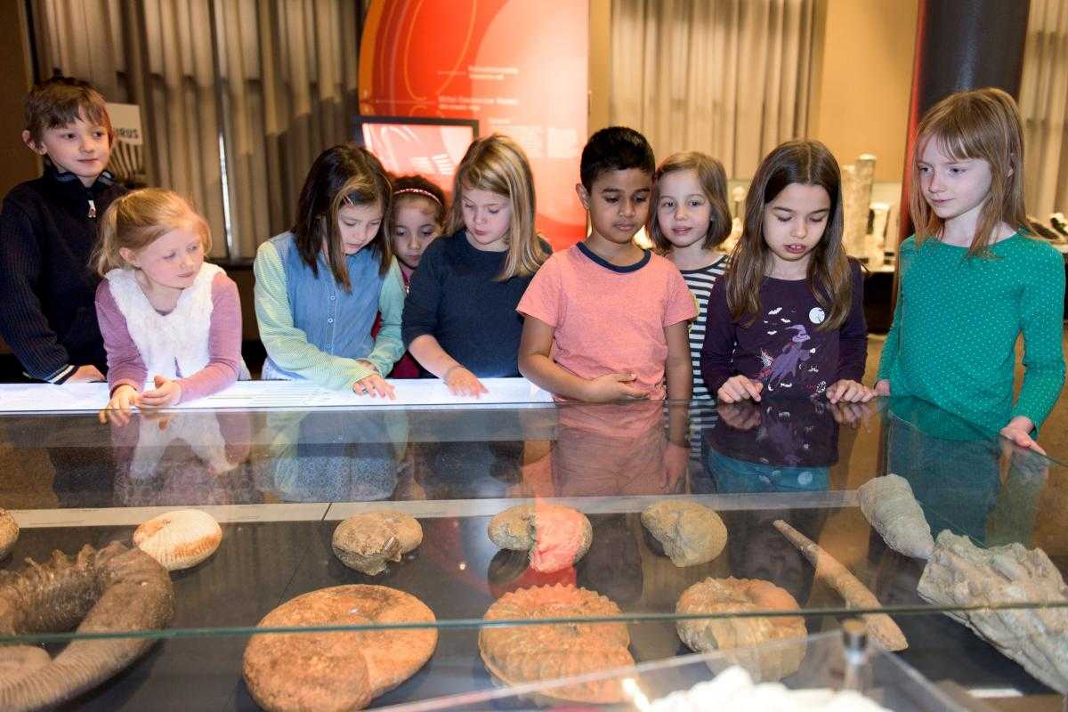 School class during a guided tour with the excavation box