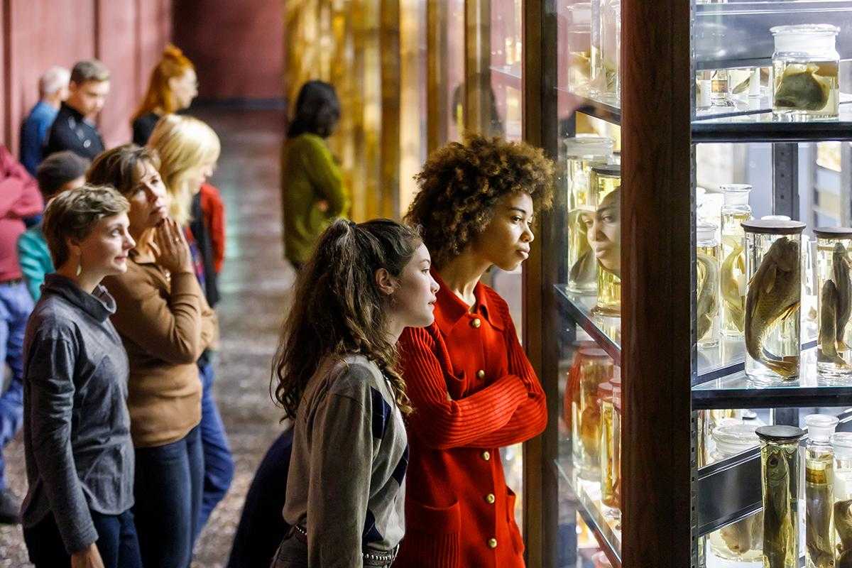 Visitors in the Wet Collection (c) Thomas Rosenthal_0
