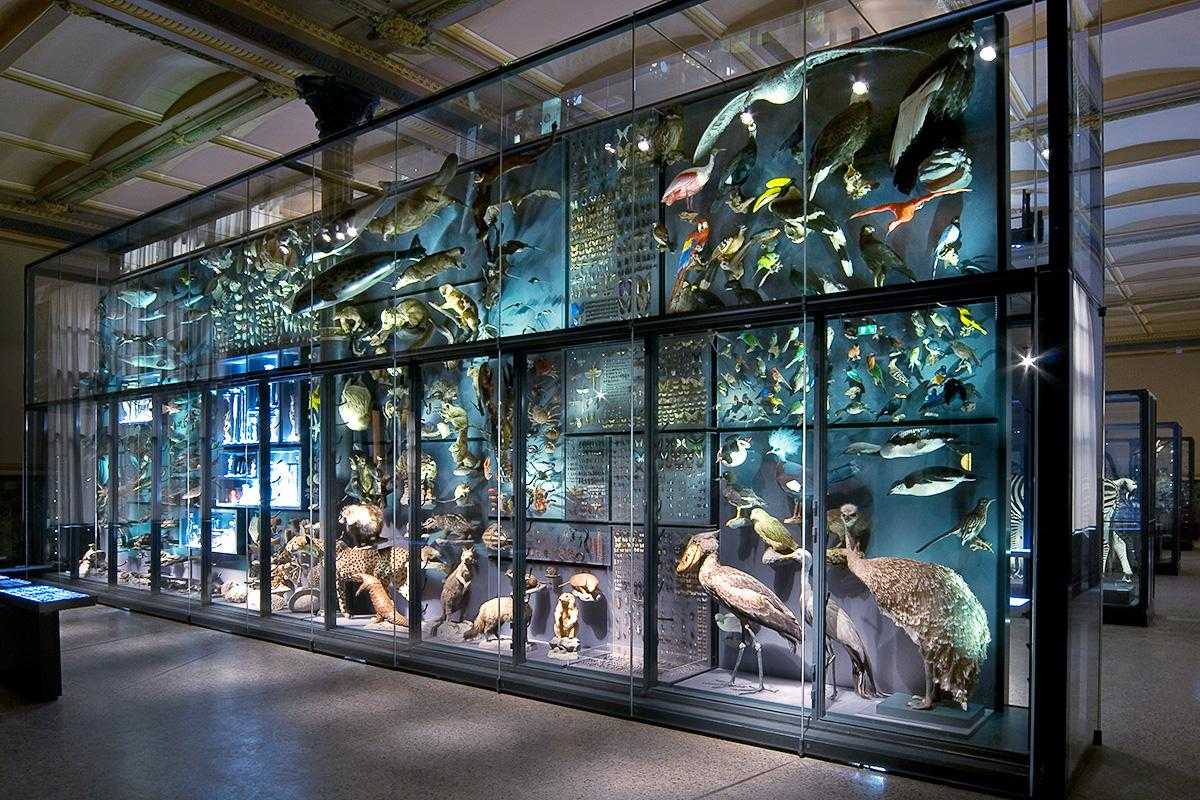 The biodiversity wall at Museum für Naturkunde Berlin